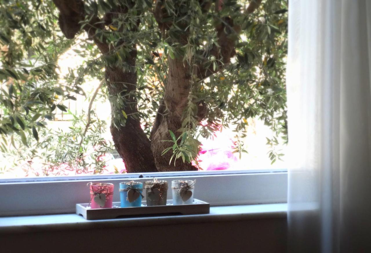 أثينا Cosy And Comfortable Apartment In The City Center المظهر الخارجي الصورة